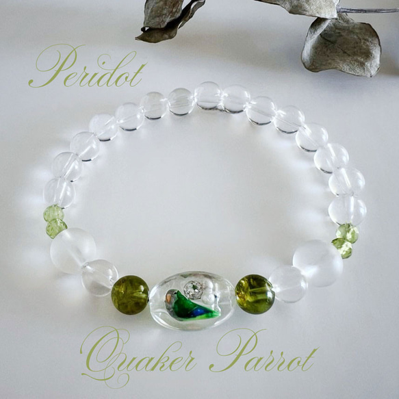 8月誕生石・インコと誕生石ブレスレット・ペリドット・ブラジル産水晶 3枚目の画像