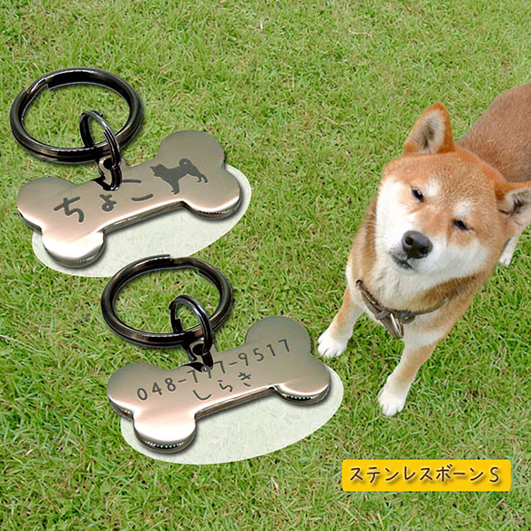 迷子札 ペットタグ 愛犬用に ステンレスボーンＳ 1枚目の画像