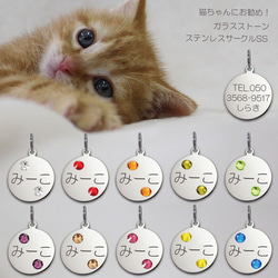 迷子札 ガラスストーン 10色展開 ネコ 猫ちゃん用 極小 ネーム プレート ステンレス サークルＳＳ 1枚目の画像