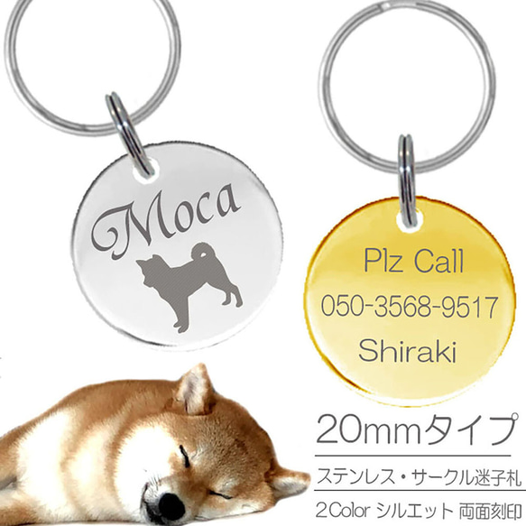 迷子札 犬 ステンレス 20mm サークル まいごふだ 1枚目の画像