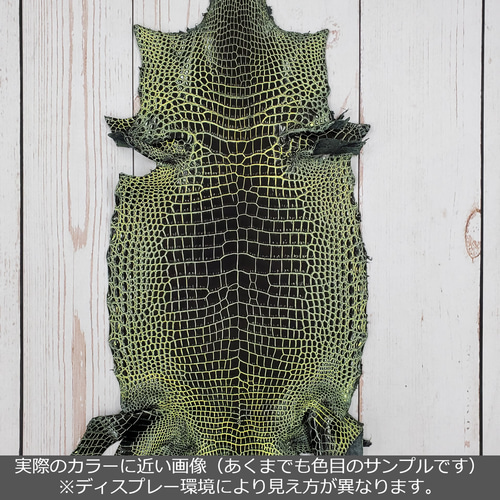 GENUINE アリゲーター クロコダイル ハンドバッグ カーキ GENUINE アリゲーター クロコダイル ハンドバッグ カーキ