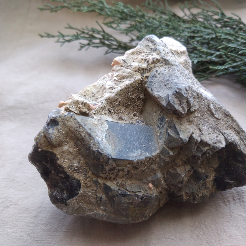 モリオン 純天然黒水晶 原石 ⑦ その他インテリア雑貨 Clear モリオン 純天然黒水晶 原石 ⑦ その他インテリア雑貨 Clear