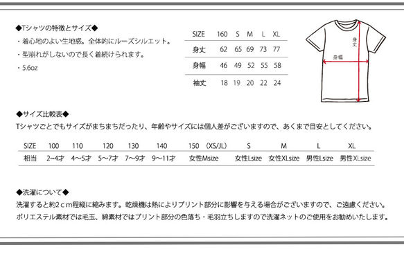 鳳凰と太陽 7枚目の画像