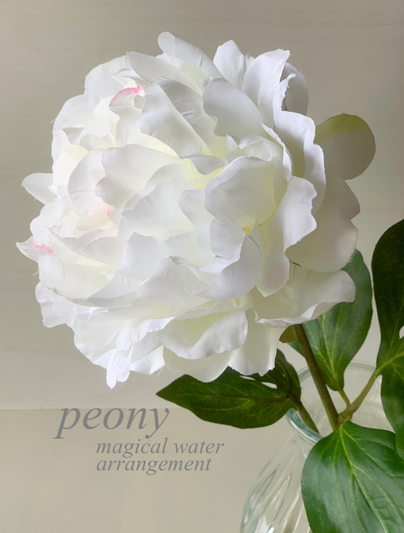枯れない・水替え不要] 母の日に華やかな大輪の白いピオニー/マジカル
