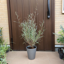 6d71b80bbb5f1a628e42d64d605675