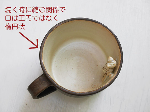 お風呂マグ茶/シマシマ猫 5枚目の画像