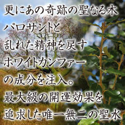 開波富饒聖水：開.運 運気アップ 金.運 恋愛.運 子宝 仕事.運 社交運 縁.結び 6枚目の画像