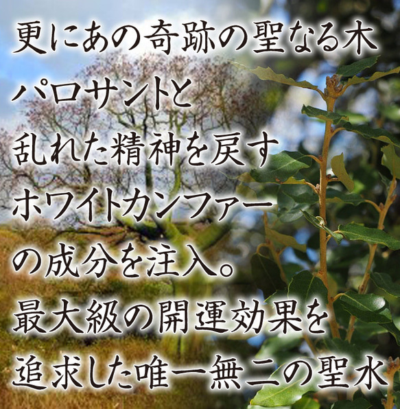 開波富饒聖水：開.運 運気アップ 金.運 恋愛.運 子宝 仕事.運 社交運 縁.結び 6枚目の画像