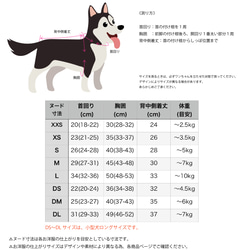  第11張的照片