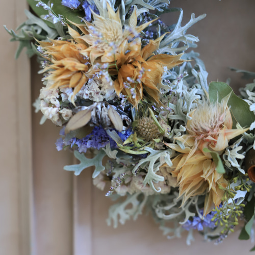 ドライフラワー♪シロタエギク・秋色紫陽花のリース リース 木の実と