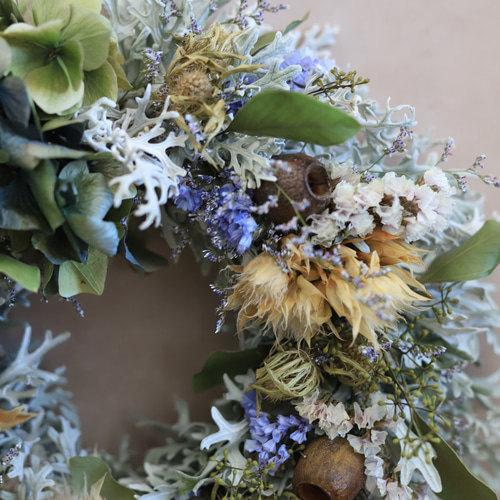 ドライフラワー♪シロタエギク・秋色紫陽花のリース リース 木の実と