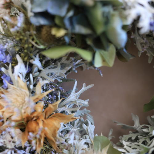 ドライフラワー♪シロタエギク・秋色紫陽花のリース リース 木の実と