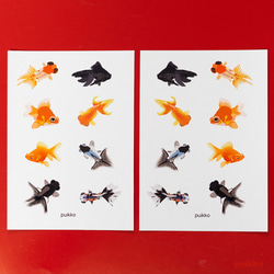 8cbc61d3894cdcd0d8b302ae96a6e5