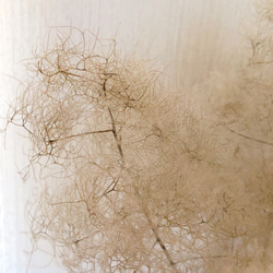 スモークツリー 枝付き ⑫ 45cm ドライフラワー 6枚目の画像