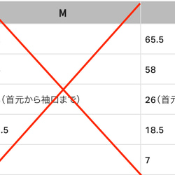  第10張的照片