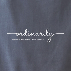 ordinarily -日常- Tシャツ デニムグレー 2枚目の画像