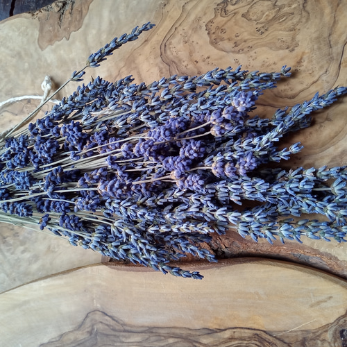 ラベンダー2品種セット 〜ドライフラワー・スワッグ〜 ドライフラワー