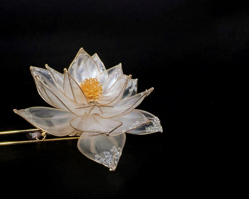 950e2485a630055a820f7b8569514d  