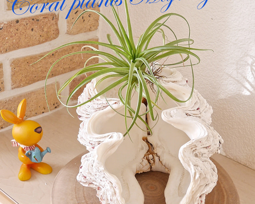 d92c7237edc9ad58c19b879dfb0cc3