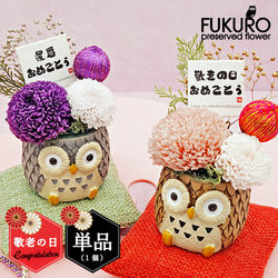 敬老の日 プレゼント ふくろうプリザーブドフラワー(単品1個) フクロウ