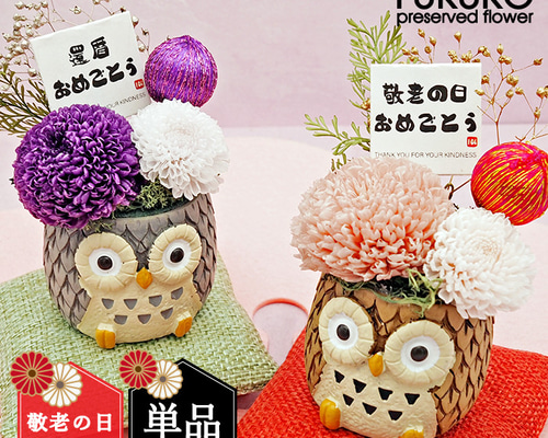 177ba1ca0c57cc30cbf8015a98aed6