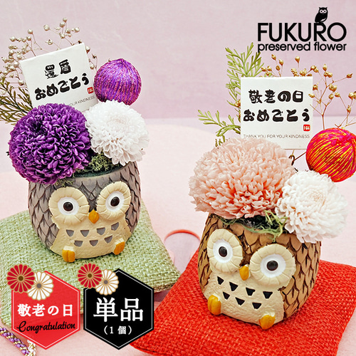 敬老の日 プレゼント ふくろうプリザーブドフラワー(単品1個) フクロウ