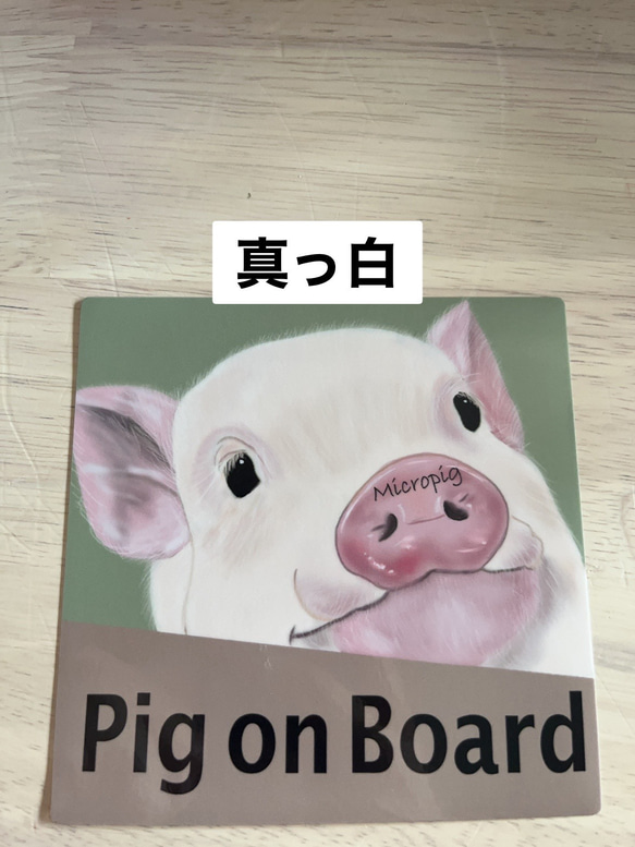 全9種類❣️カーサインブタステッカータイプ❣️ 7枚目の画像