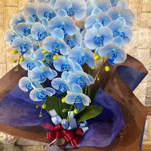 光触媒 人工観葉植物 ウォールグリーン フェイクグリーン 胡蝶蘭7846
