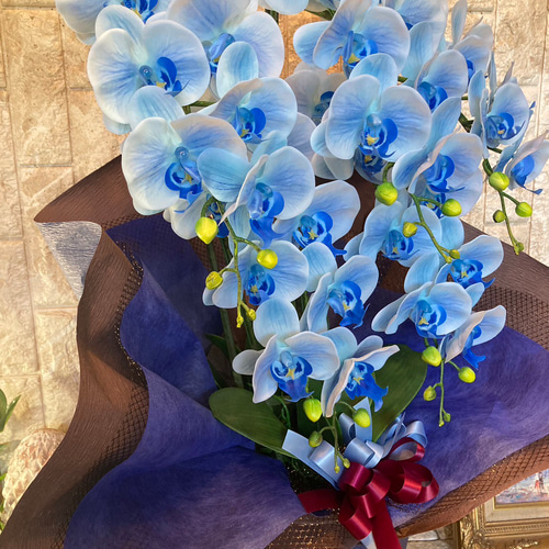 光触媒　人工観葉植物　ウォールグリーン　フェイクグリーン　胡蝶蘭7845@ad 光触媒 人工観葉植物 ウォールグリーン フェイクグリーン 胡蝶蘭