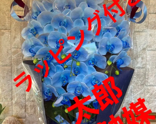 光触媒　人工観葉植物　ウォールグリーン　フェイクグリーン　リアル胡蝶蘭アレンジ! 光触媒 人工観葉植物 ウォールグリーン フェイクグリーン リアル胡蝶蘭