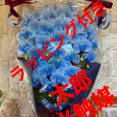 光触媒 人工観葉植物 ウォールグリーン フェイクグリーン リアル