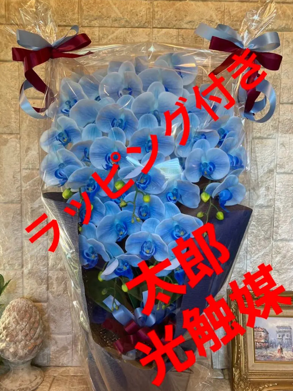 光触媒 人工観葉植物 ウォールグリーン フェイクグリーン 胡蝶蘭7846