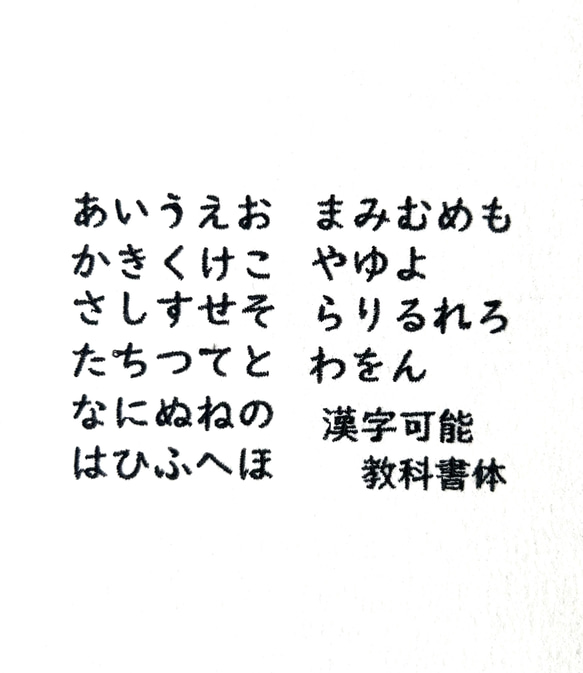 20ｘ11ｃｍ以内■ご希望サイズで作ります■お名前ワッペン 7枚目の画像