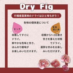 DRY FIG (ドライいちじく）5袋セット｜福岡県産蓬莱柿 5枚目の画像