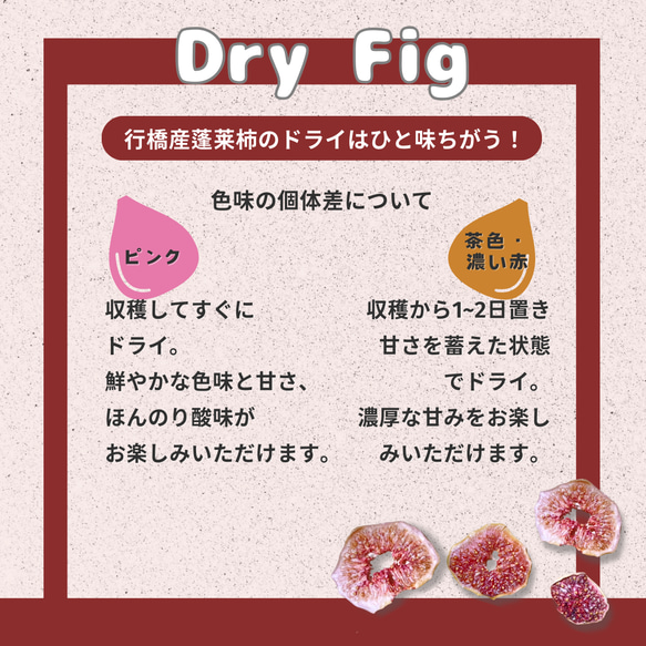 DRY FIG (ドライいちじく）5袋セット｜福岡県産蓬莱柿 5枚目の画像