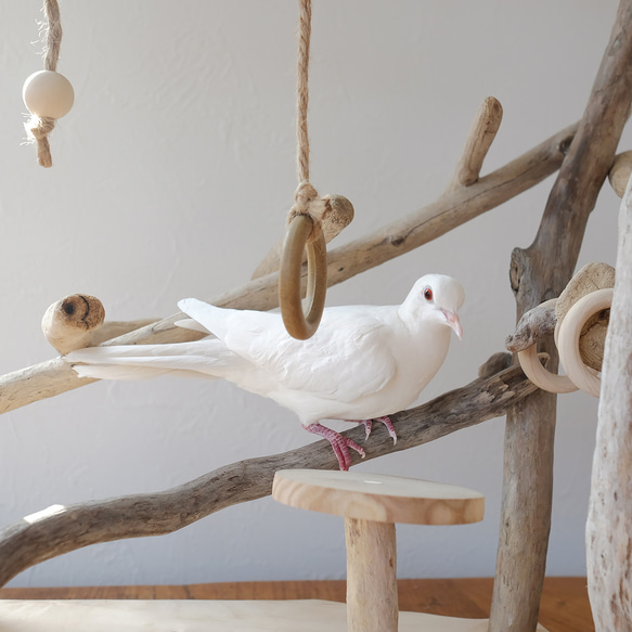〜海からの贈り物〜 流木バードジム L ｜鳥さんのアスレチック 8枚目の画像