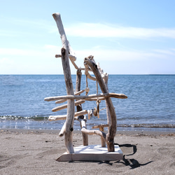〜海からの贈り物〜 流木バードジム L ｜鳥さんのアスレチック 1枚目の画像