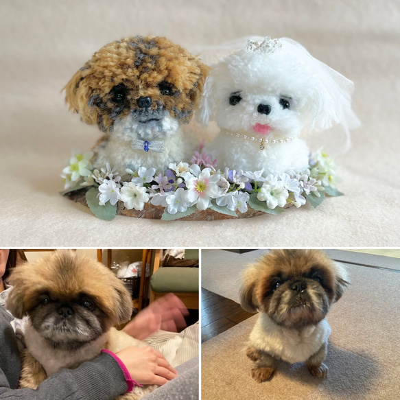 ハンドメイド 作家 アートドール まとめて 猫 モルモット ぬいぐるみ ハンドメイド 作家 アートドール まとめて 猫 モルモット ぬ