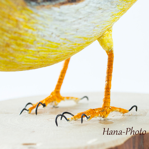 再販なし キセキレイ （木製・手作りバードカービング） 彫刻 Hana