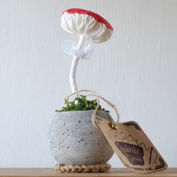 【 Fabric Kinoko 02 】（コンクリート鉢に入った布の植物飾り・キノコ） 1枚目の画像