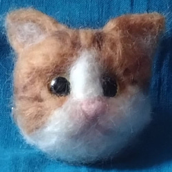 羊毛フェルト ハチワレ猫ブローチ 3枚目の画像