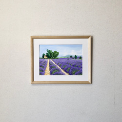 「ラベンダー畑07」透明水彩画　原画　風景画　額縁付　F4サイズ 6枚目の画像