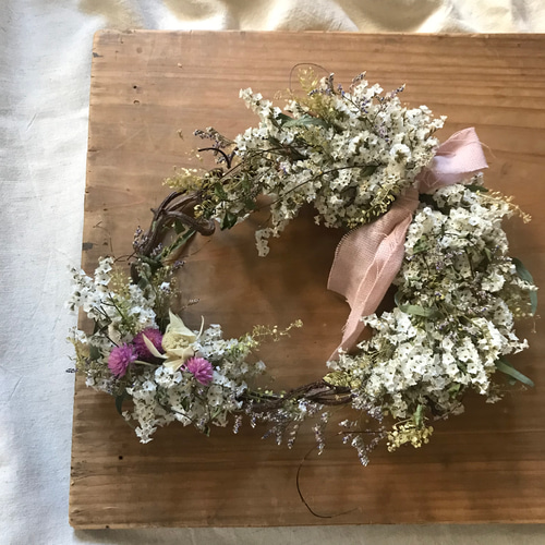 感謝SALEブルーウェーブとスターチスのリース ハイブリットスターチス