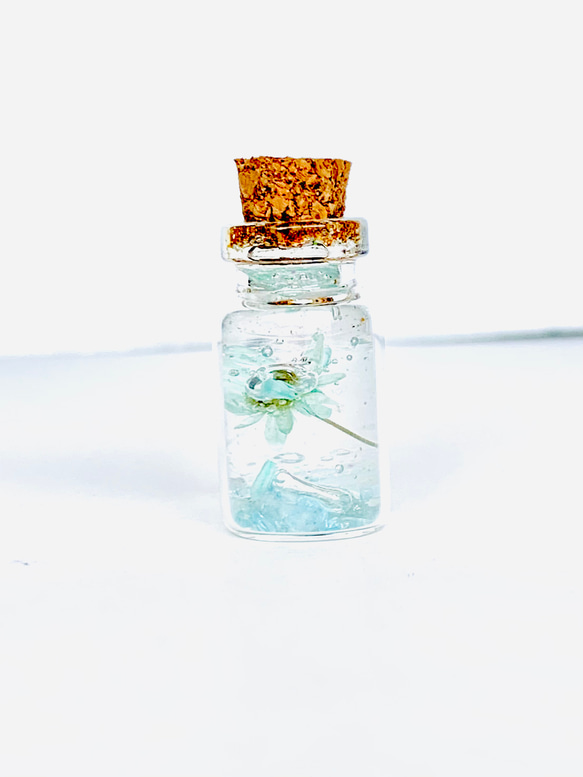 ガラスボトルの可愛いスターフラワー　キーホルダー 1枚目の画像