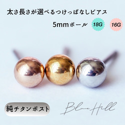 つけっぱなし ボール セカンドピアス 5mm 純チタン 太軸 【2-2大】金属アレルギー BlueHill 1枚目の画像