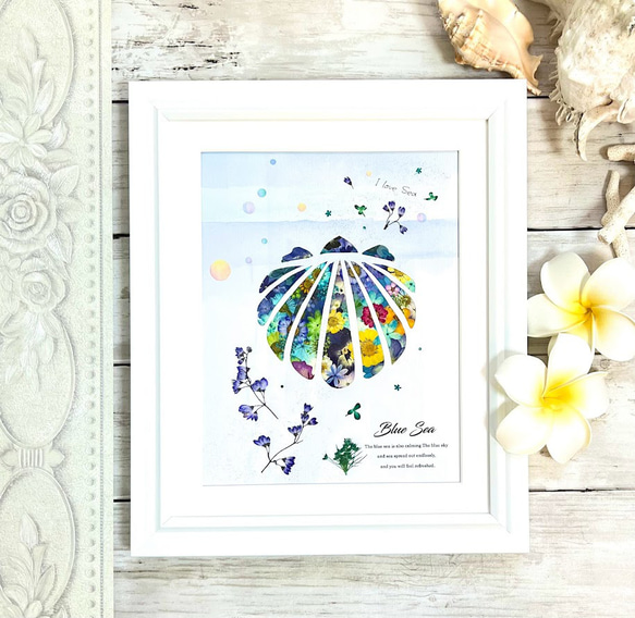 貝殻も夢を見る 押し花アート額 その他アート 神戸六甲 優花 通販