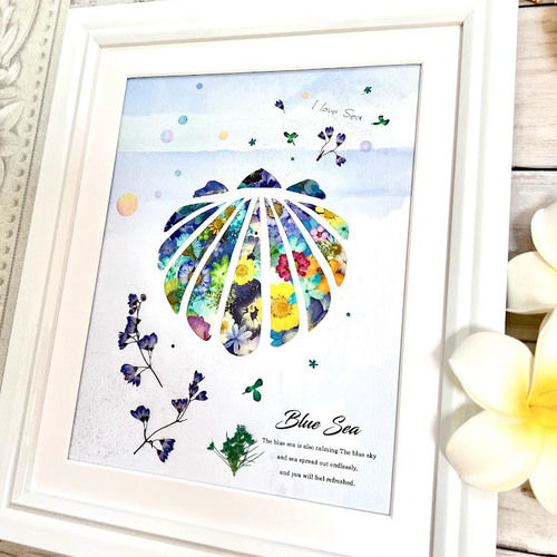 貝殻も夢を見る 押し花アート額 その他アート 神戸六甲 優花 通販