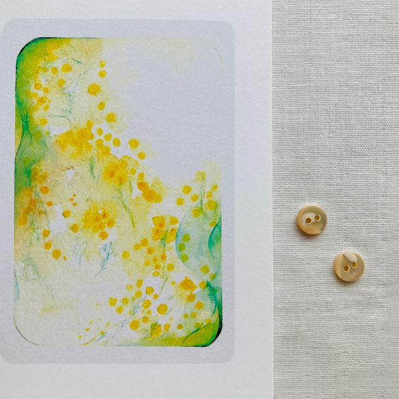 Mimosa // message cards（カード+封筒、各2枚入）　::　ミモザ　グリーティング　多目的カード 2枚目の画像