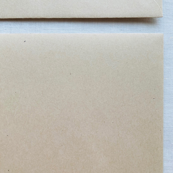 Mimosa // message cards（カード+封筒、各2枚入）　::　ミモザ　グリーティング　多目的カード 4枚目の画像