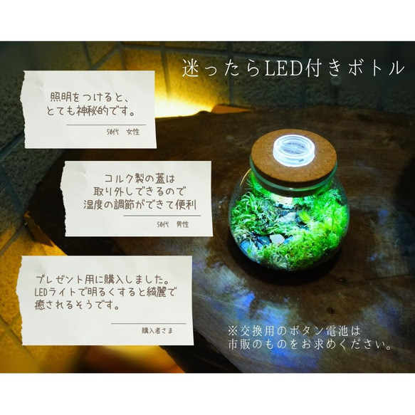 【スターターキット】LEDライト付ボトルテラリウム　作成キット 14cm 苔セット 7枚目の画像